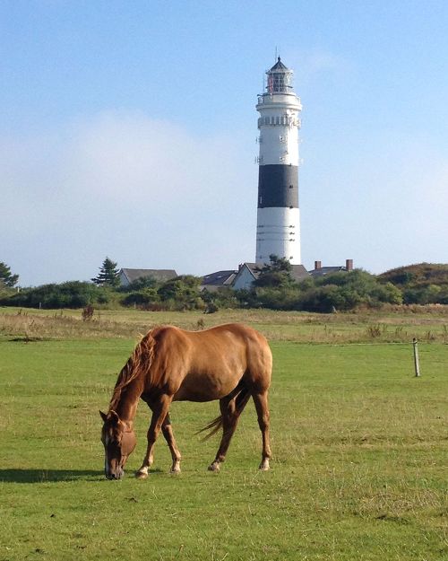 Leuchtturm Kampen (Sylt)