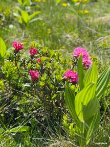 Erlebnis Resterkogel