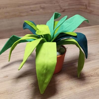 Meine FriedaSansevieria von shesmile für ein grünes Büro-Fensterbrett.