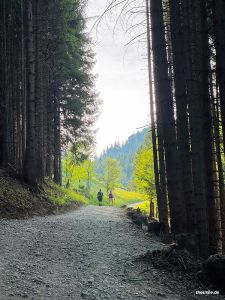 Raus aus dem Wald
