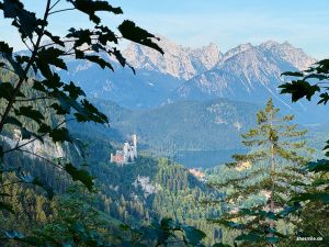 Blick aufs Schloss Neuschwanstein