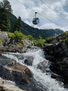 Godel mit Wasserrauschen