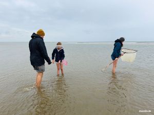 Schollenbob und seine Freunde