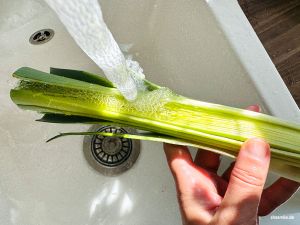Lauch tief in die Blätter waschen