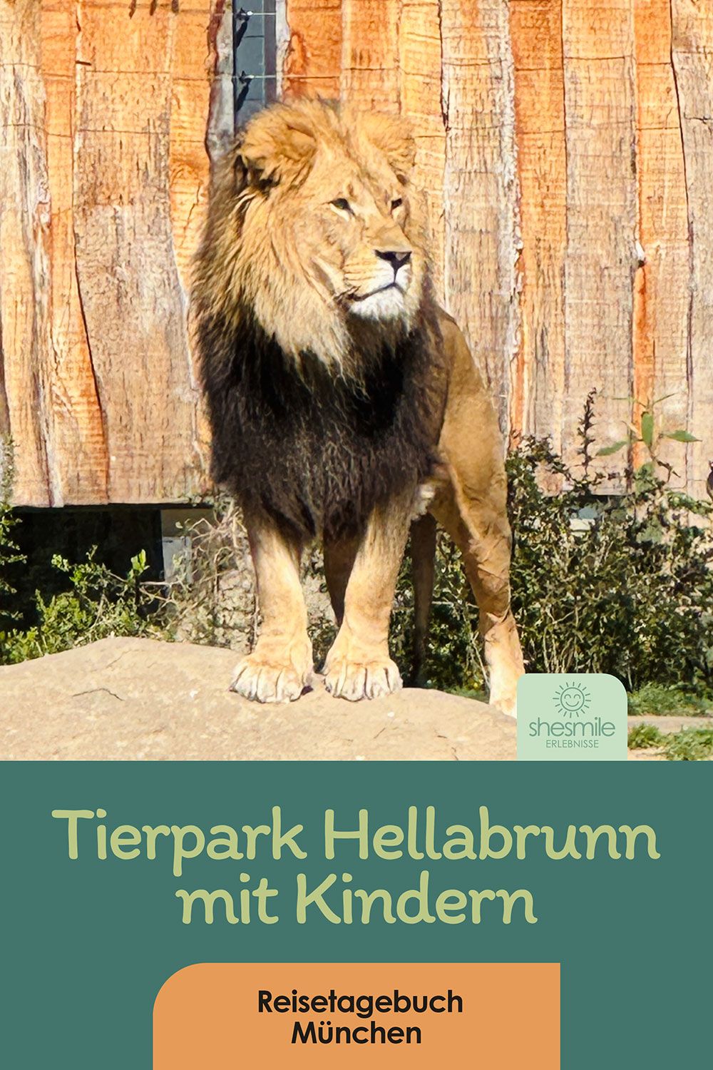 Tierpark Hellabrunn - Mit Kindern in München