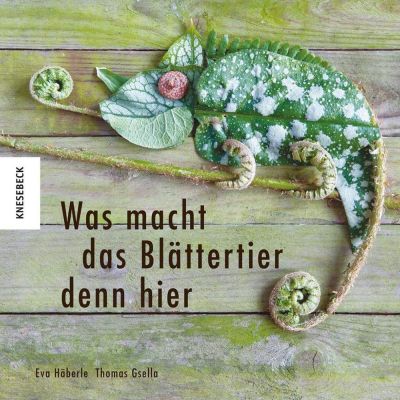 Was macht das Blättertier denn hier - Dieses Buch möchte ich euch auch noch zeigen, "Rösi" von roesis.blogspot.de hat mir davon erzählt. Und ich finde es wirklich eine wunderschöne Inspiration! Schaut euch unbedingt mal die Beispiele auf der Amazon-Seite an.