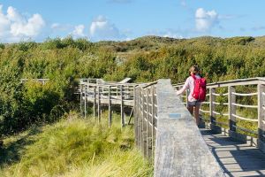 Otto-Leege-Pfad - Wanderung auf dem Naturschutz-Lehrpfad