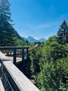 Baumkronenweg