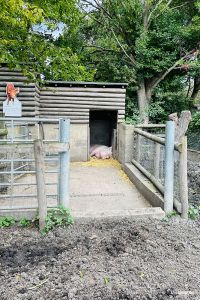 Mudchute Park & Farm
