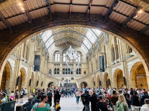 Natural History Museum London