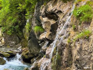 Sigmund Thun Klamm