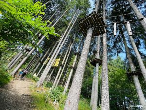 Waldseilgarten an der Höllschlucht