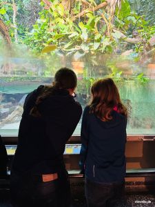 Zoo Frankfurt