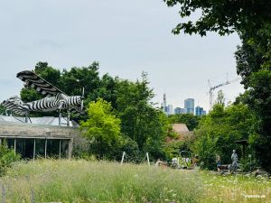 Zoo Frankfurt