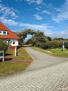 Mit dem Fahrrad zum Cafè Wilhelmshöhe (Juist Reisetagebuch)