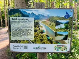 Flussbegradigung
