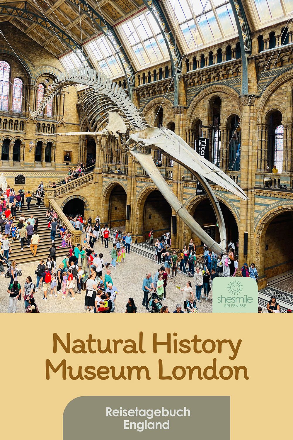 Natural History Museum London - Zu Besuch bei Hope dem Blauwalskelett