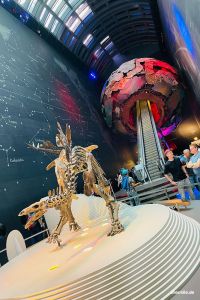 Skelett eines Stegosaurus