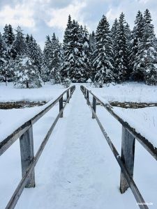 Winterwanderung am Lautersee