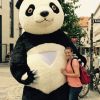 Riesiger Pandabär (Fußgängerzone Nürnberg)