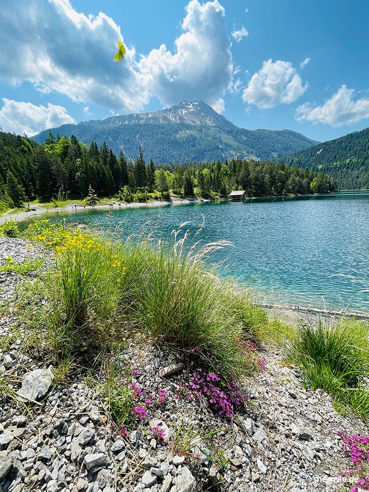Blindsee-Rundweg - Wandern mit Kindern bei Ehrwald (Österreich)