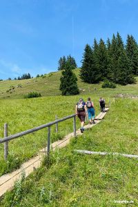 Wiesenweg zur Kappeler Alp