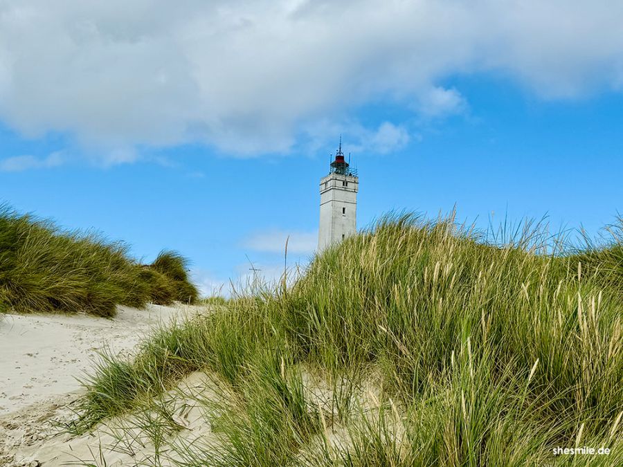 Zoo, Strand, Leuchtturm und eine Fredagsslik-Tradition. Blåvand - Ausflug zur westlichsten Spitze Dänemarks. shesmile Erlebnisse Reisetagebuch.