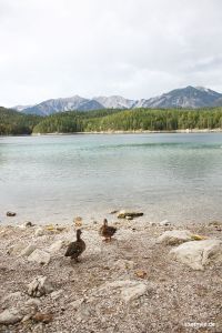 Eibsee im Herbst, Oktober 2016
