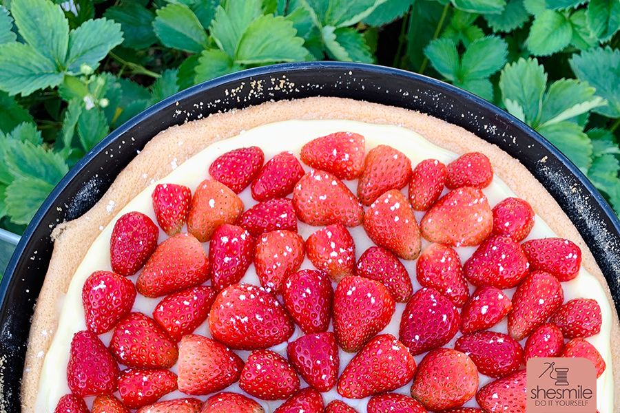 Biskuitboden, Vanillepudding-Creme und obendrauf noch Erdbeeren. Dieser Kuchen ist so lecker und schnell gebacken! Natürlich mit den Erdbeeren aus dem eigenen Garten! Mein Lieblingsrezept!