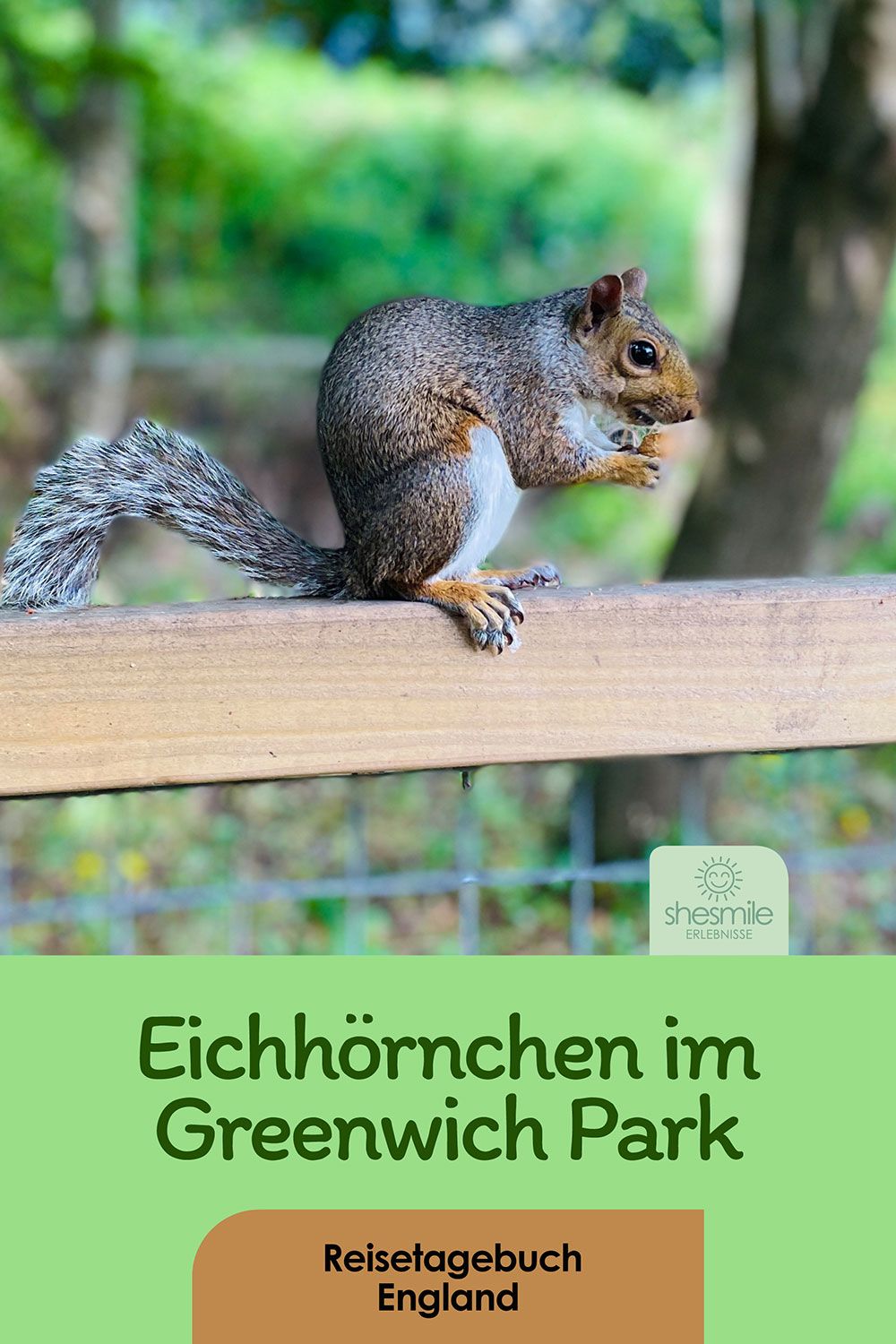 Greenwich Park London - Das Englischbuch der 5. Klasse als Reiseführer