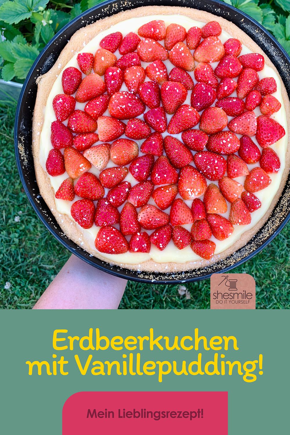 Erdbeerkuchen mit Vanillepudding (Mein Lieblingsrezept)