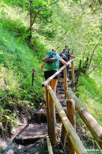 Wurzelweg zur Kappeler Alp