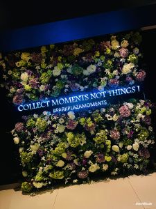 Collect Moments Not Things!