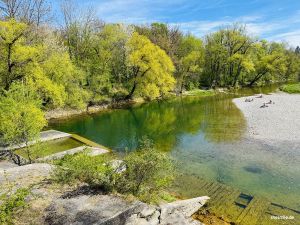 Laichplatz der Fische