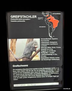 Zoo Frankfurt