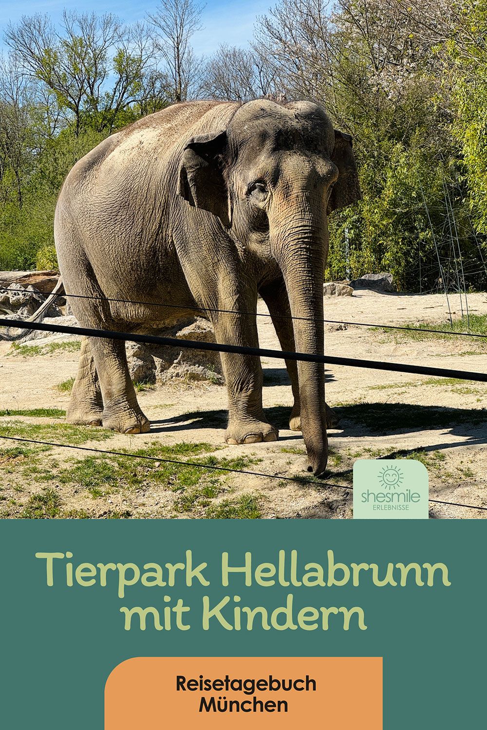 Tierpark Hellabrunn - Mit Kindern in München