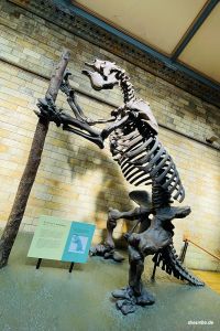 Riesenfaultiers (Megatherium), ein ausgestorbenes Urzeit-Säugetier