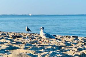 Meer - Urlaub und Reisen an die schönsten Küsten