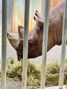 Zoo Frankfurt