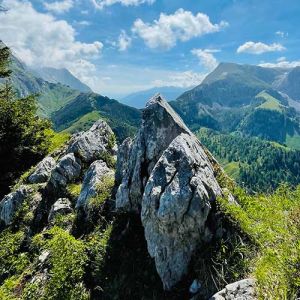 Berge - Natur erleben auf Gipfeln und Wanderwegen