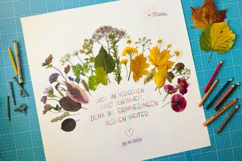 Einen Regenbogen aus getrockneten Blumen basteln (Abschied & Neuanfang)