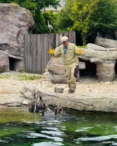 Zoo Frankfurt