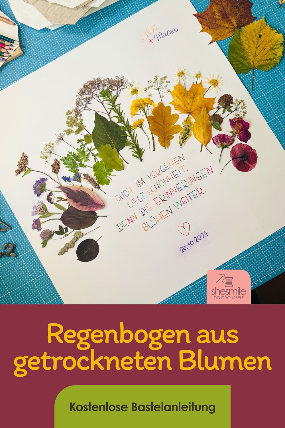Einen Regenbogen aus getrockneten Blumen basteln (Abschied & Neuanfang)