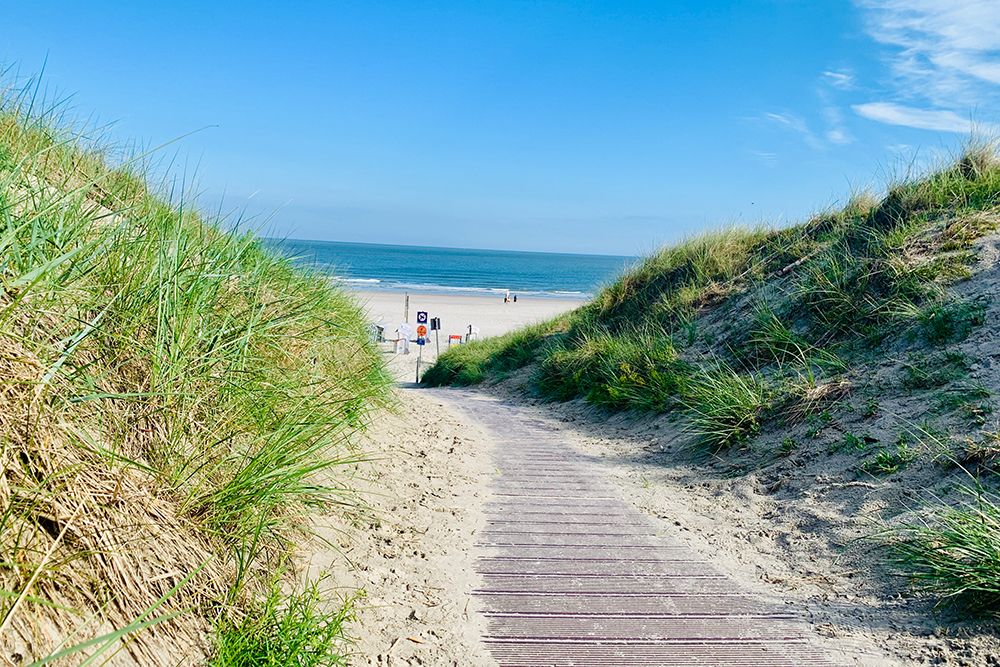 Ein Bewerbungsbeitrag bei der Rentenkasse zur Beantragung einer Brustkrebs Anschlussheilbehandlung (AHB) am Meer. Warum ich ans Meer fahren möchte um gesund zu werden!
