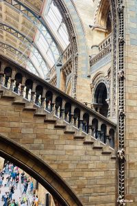 Natural History Museum London