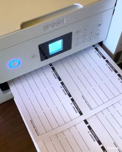 PDF Ausdrucken