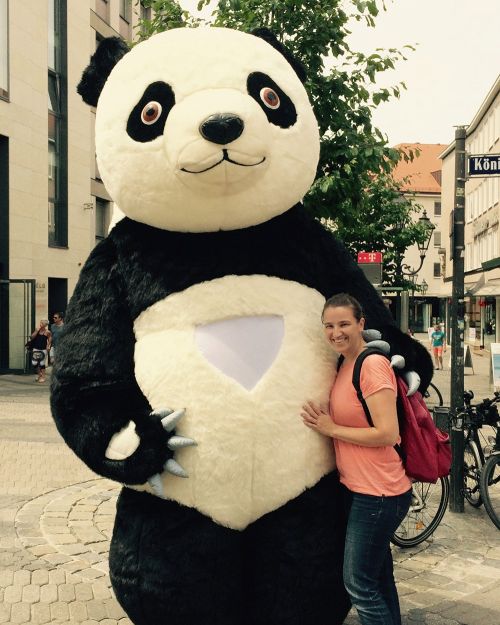 Riesiger Pandabär (Fußgängerzone Nürnberg)