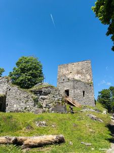 Burgruine Wittinghausen (Vítkův Hrádek)