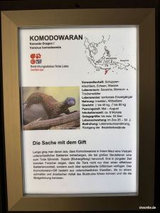 Zoo Frankfurt
