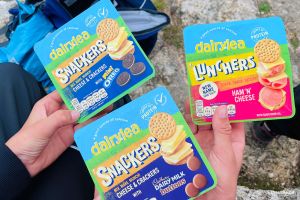 Blödsinnsessen für Unterwegs